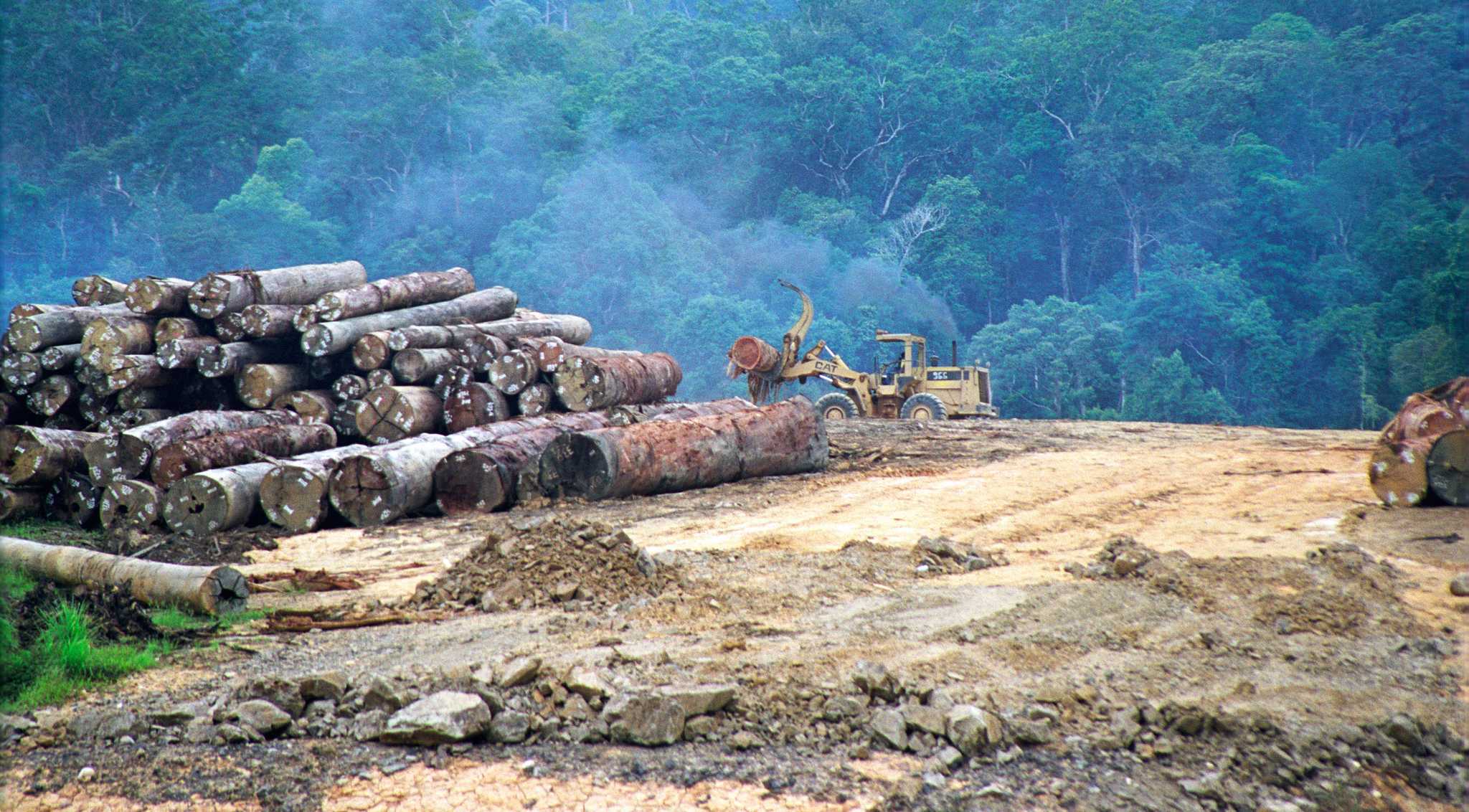 A barge carries logs down a river in North Kalimantan, in 2021.