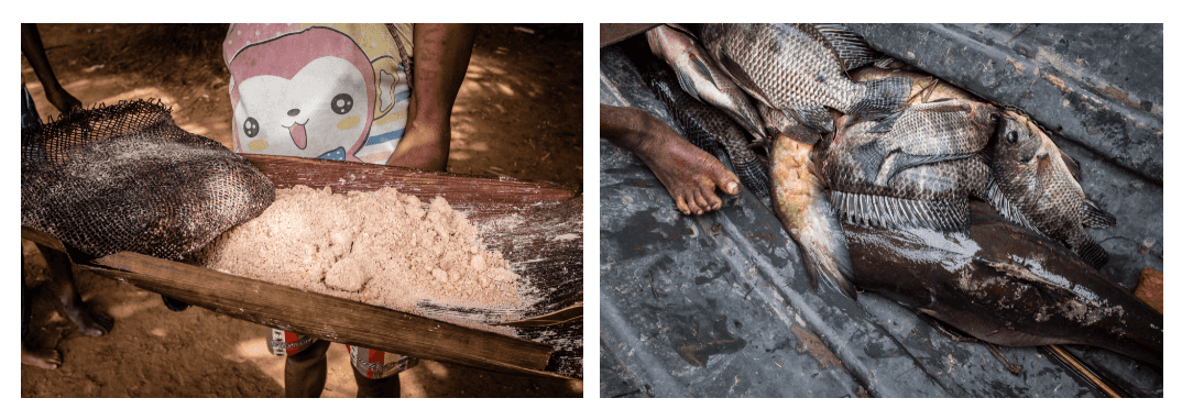 Tepung sagu dan ikan hasil tangkapan orang Papua di Papua bagian selatan, 2019.
