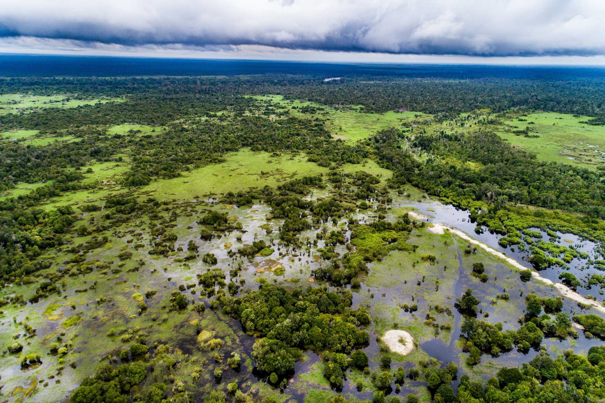 Peatland forest in Parupuk village, Katingan. Central Kalimantan. By Nanang Sujana/CIFOR, CC BY-NC-ND 2.0.