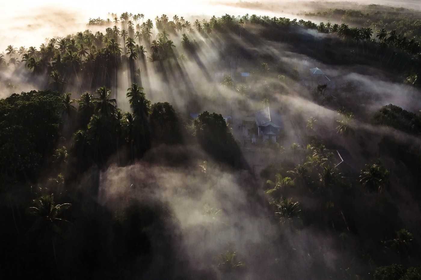 Proyek Menara Group mengancam kehancuran sumber penghidupan dari ribuan masyarakat Aru yang bergantung pada kelestarian hutan. Foto oleh Forest Watch Indonesia.