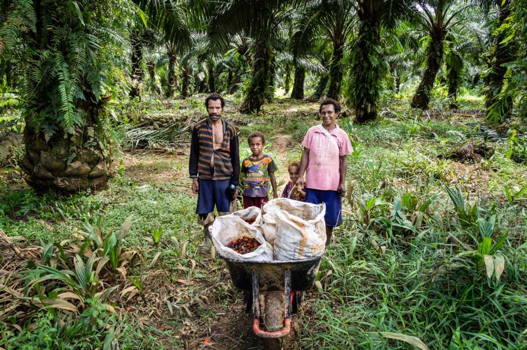 Petrus Kies dan keluarganya di perkebunan kelapa sawit di Boven Digoel, Papua. Anak-anak di sana tidak bersekolah.