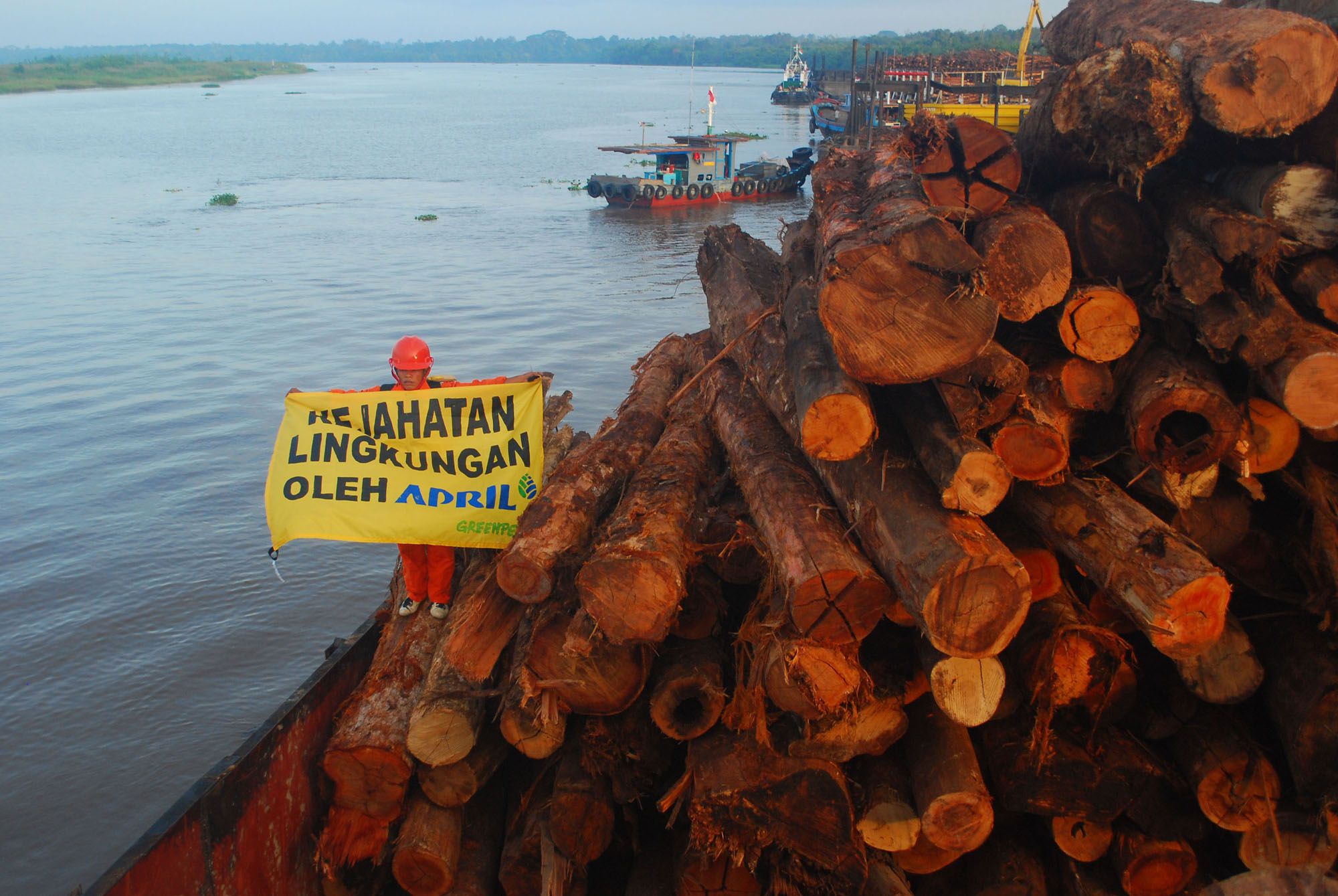 Greenpeace activists block the loading of a barge carrying logs to a pulp mill owned by RGE subsidiary APRIL, in 2010.