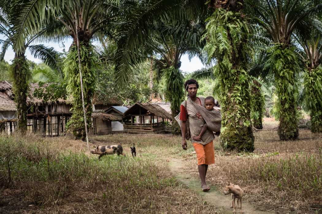 Sebuah keluarga yang tinggal di pinggiran perkebunan milik Korindo Group di Desa Getentiri.