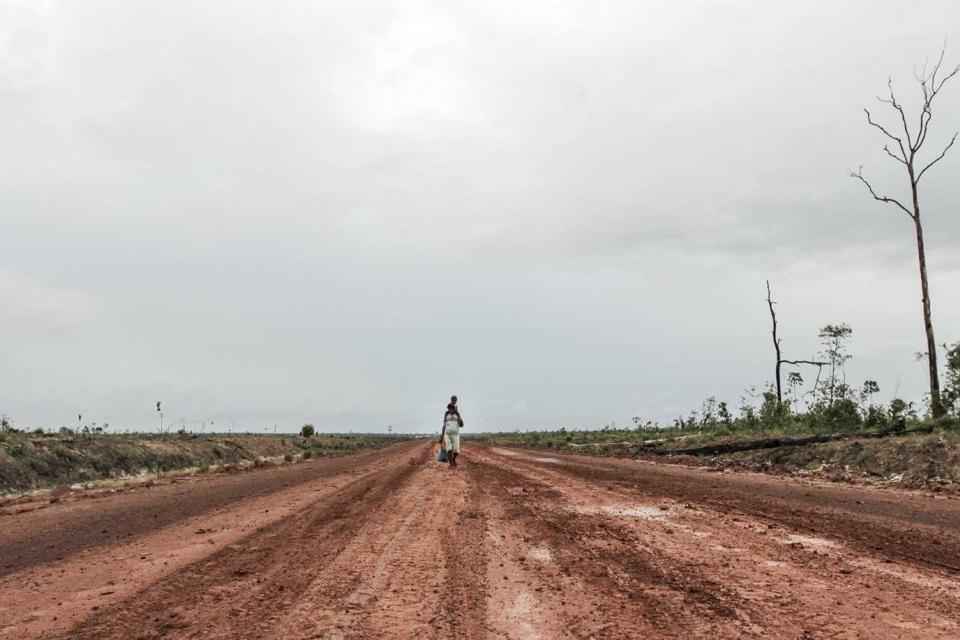 Road through a landscape denuded of forest in Merauke, 2012. 