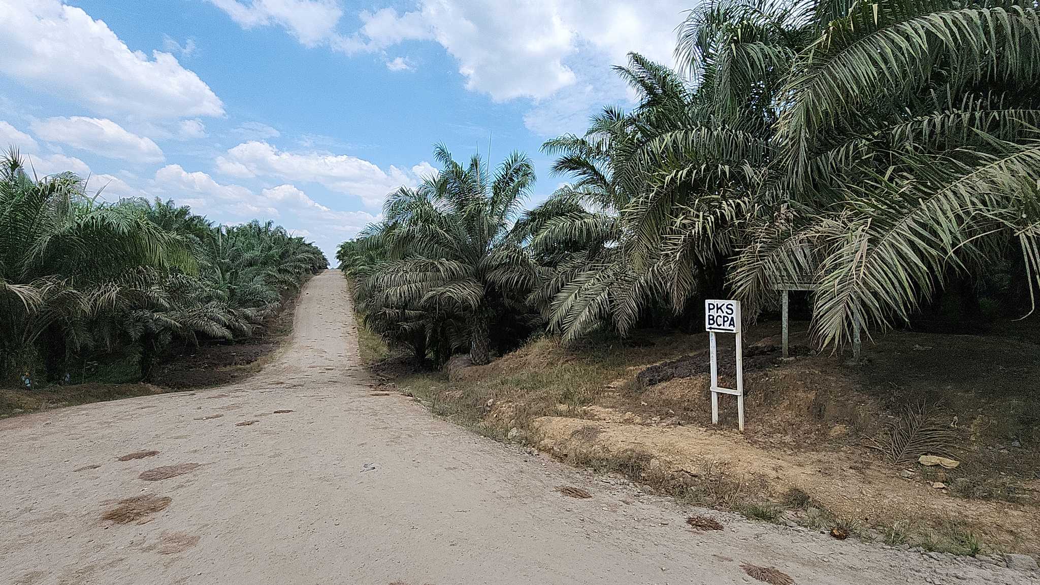 A sign within First Resources Ketapang Agro Lestari concession points to BCPA.