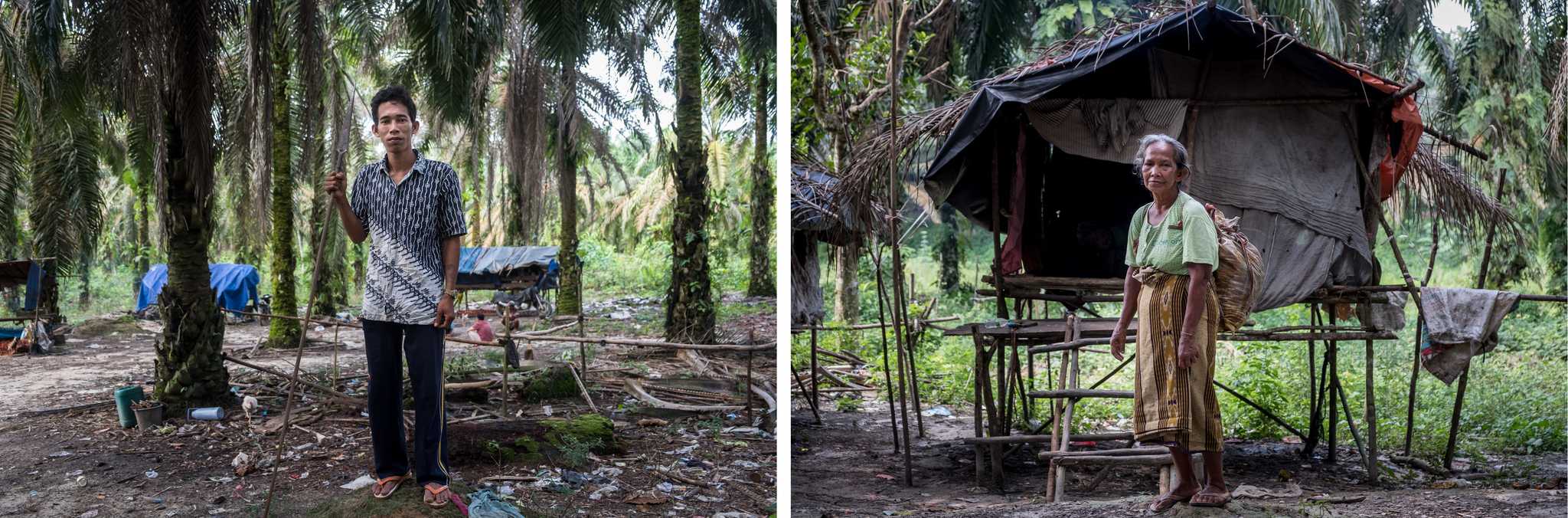 Mat Yadi (left) now lives with his family in a plantation after his tribe’s land was ceded to a plantation company. Siti (right) earns money by collecting oil palm fruitlets that fall to the ground as larger bunches are harvested.