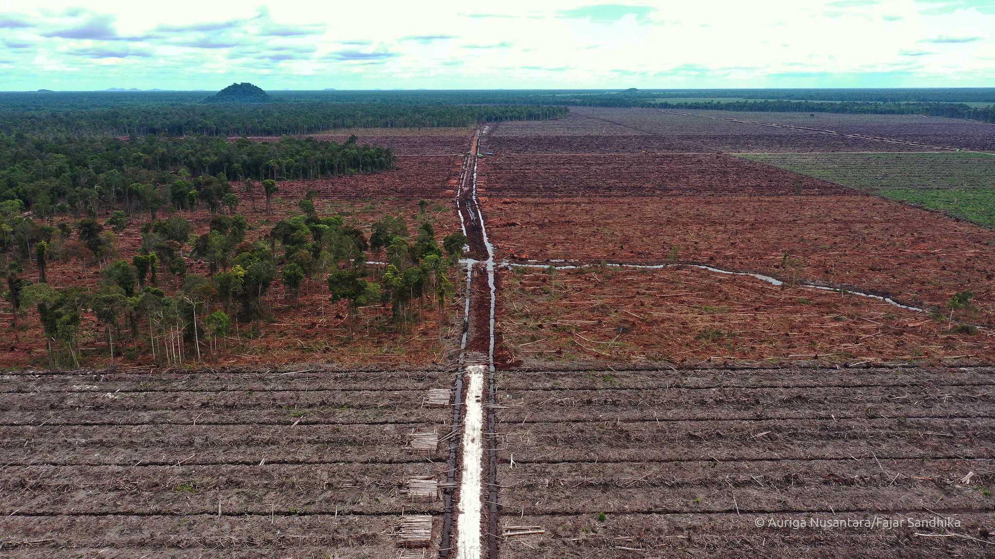Aerial photo of deforestation by PT Mayawana Persada in West Kalimantan province. 