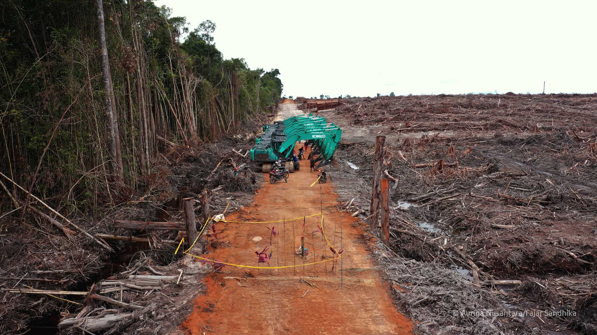 Deforestation by PT Mayawana Persada in an area belonging to the Dayak Benua Kualan Hilir indigenous community, in West Kalimantan province.