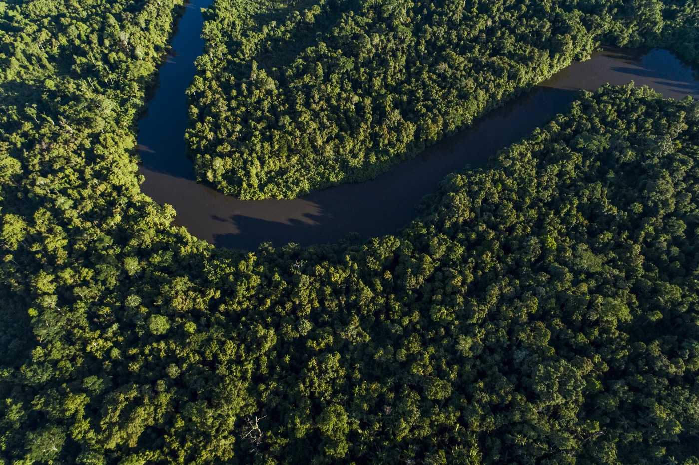 Drone photo of rainforest and a river in Boven Digoel, 2017. 